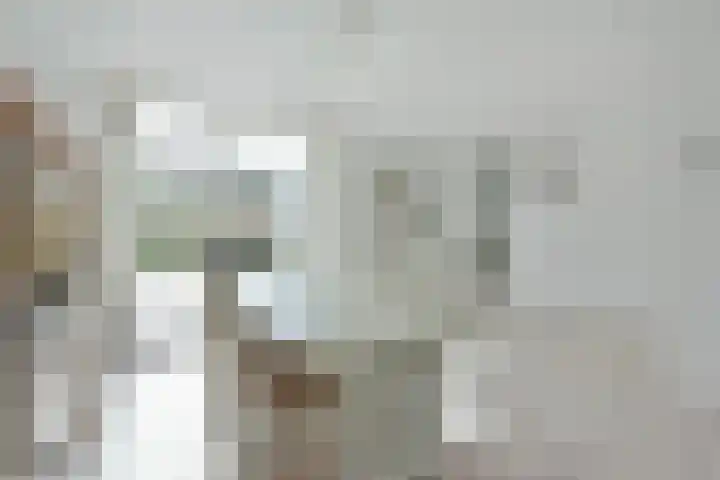 Karhaak 7 Nieuwkoop thumbnail 10