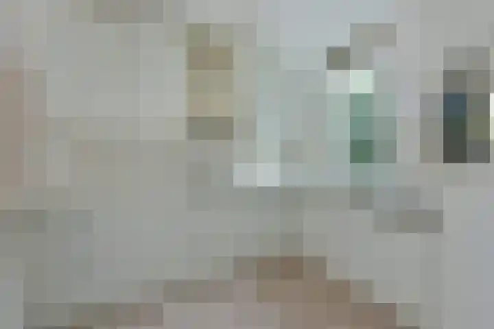 Karhaak 7 Nieuwkoop thumbnail 12