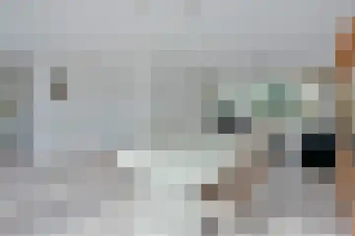Karhaak 7 Nieuwkoop thumbnail 13