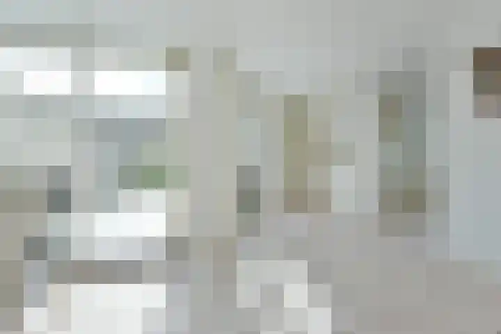 Karhaak 7 Nieuwkoop thumbnail 14