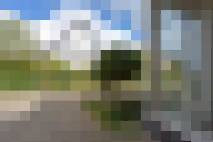 Karhaak 7 Nieuwkoop thumbnail 28