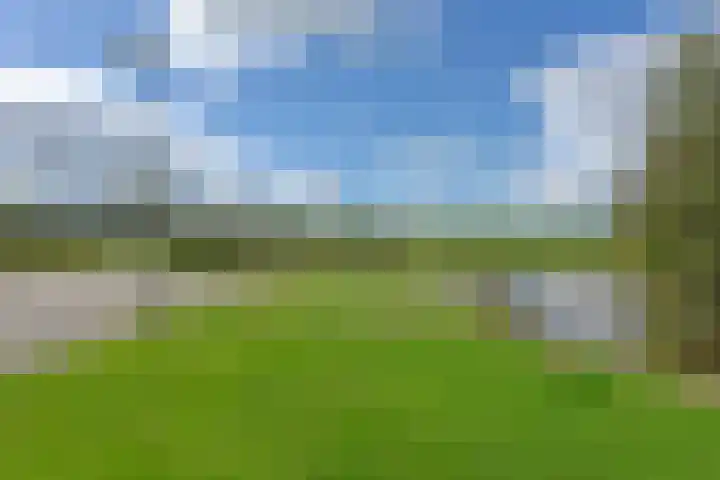 Karhaak 7 Nieuwkoop thumbnail 29