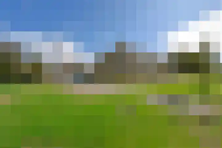 Karhaak 7 Nieuwkoop thumbnail 30