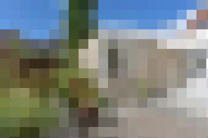 Karhaak 7 Nieuwkoop thumbnail 4