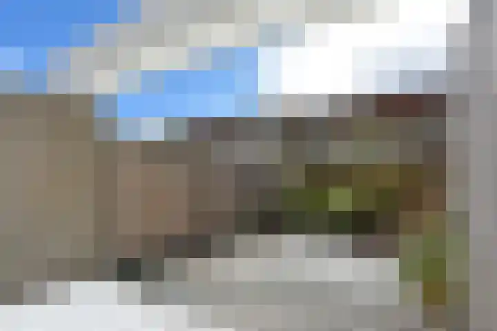 Karhaak 7 Nieuwkoop thumbnail 5