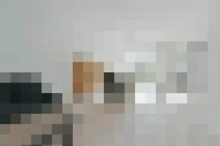 Karhaak 7 Nieuwkoop thumbnail 6