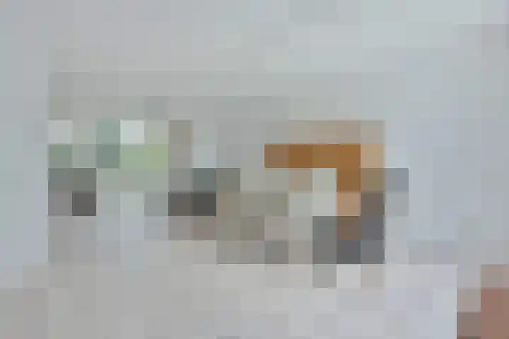 Karhaak 7 Nieuwkoop thumbnail 7