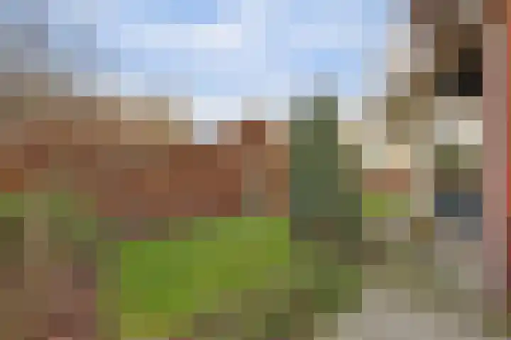 Karhulstraat 2 A Ugchelen thumbnail 30