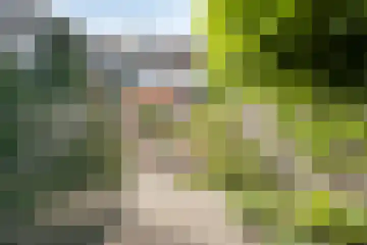 Karhulstraat 31 Ugchelen thumbnail 15