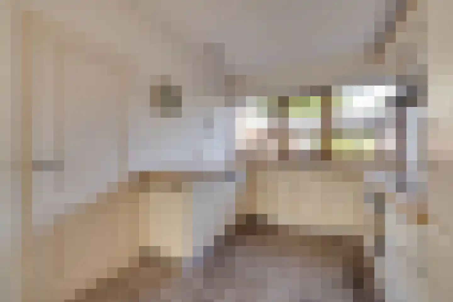 Karhulstraat 72 Ugchelen thumbnail 14