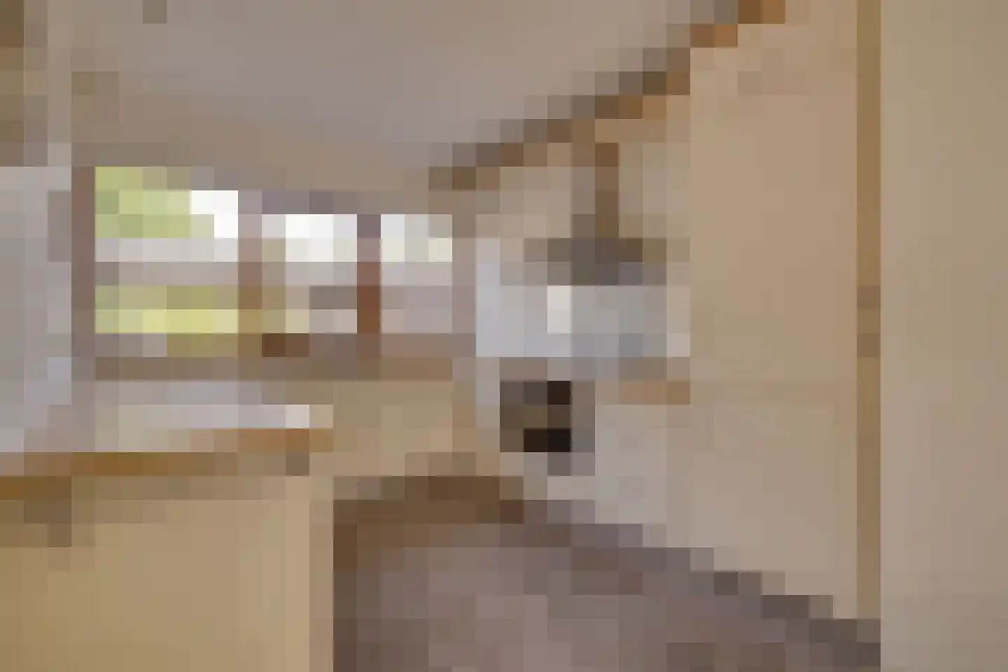 Karhulstraat 72 Ugchelen thumbnail 15
