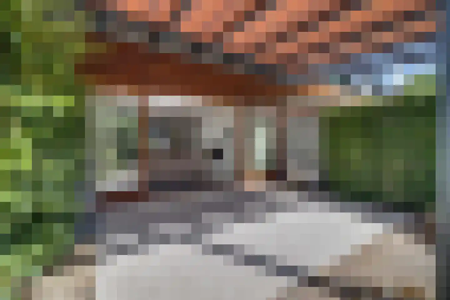 Karhulstraat 72 Ugchelen thumbnail 30