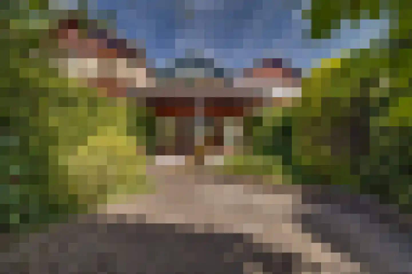 Karhulstraat 72 Ugchelen thumbnail 34