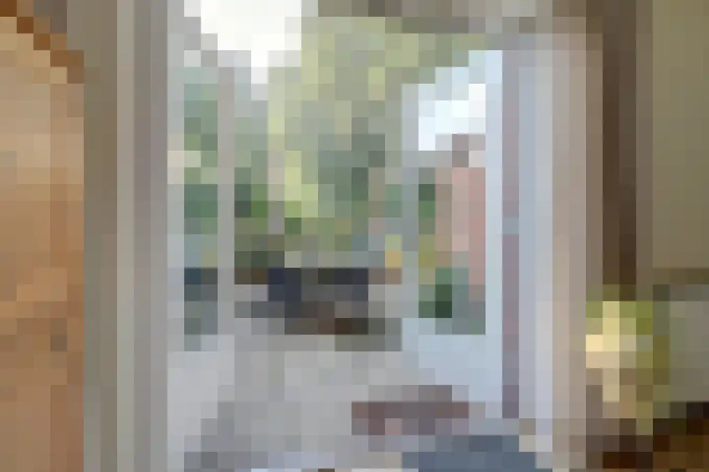Karhulstraat 94 Ugchelen thumbnail 17