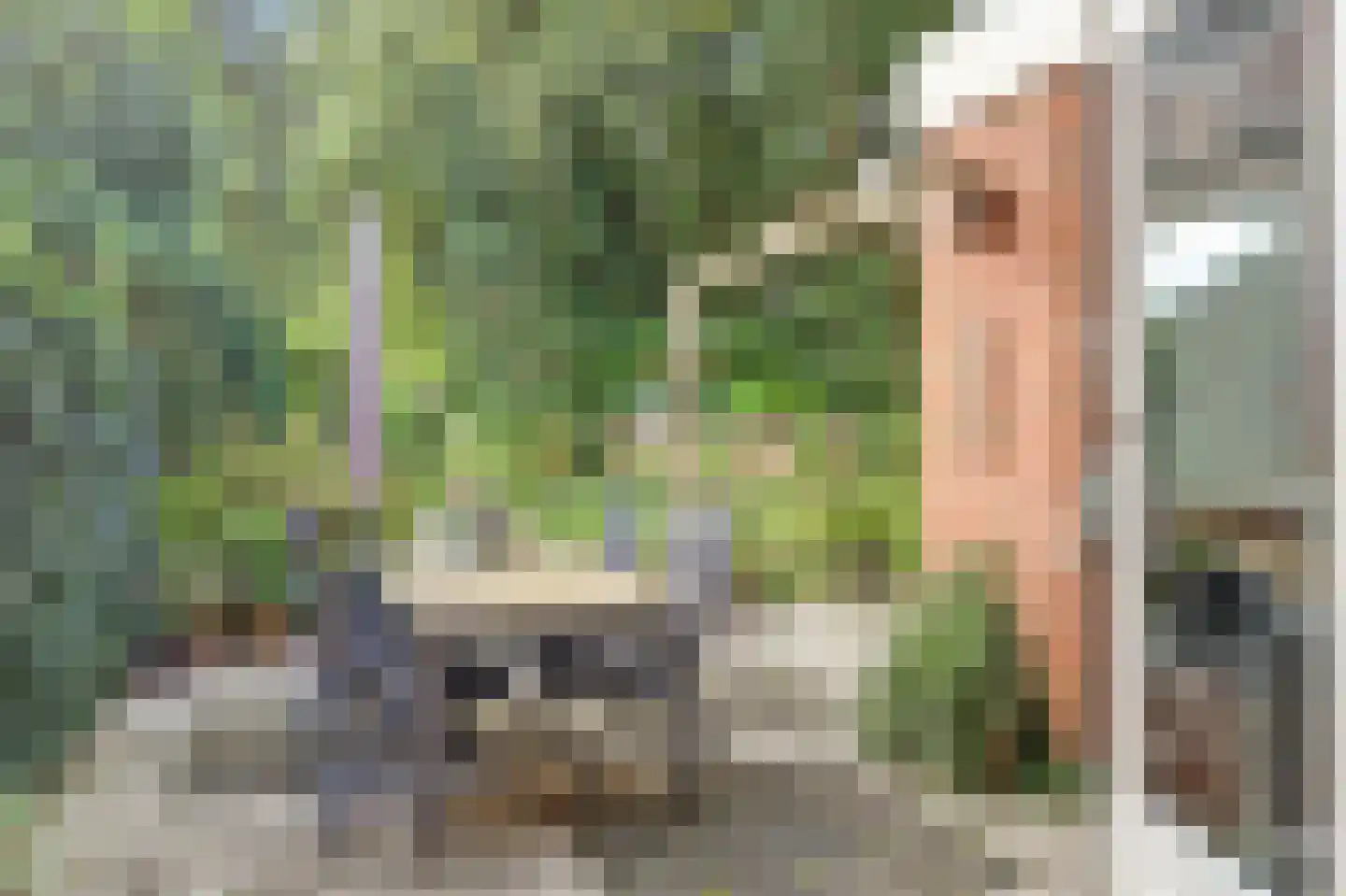 Karhulstraat 94 Ugchelen thumbnail 18