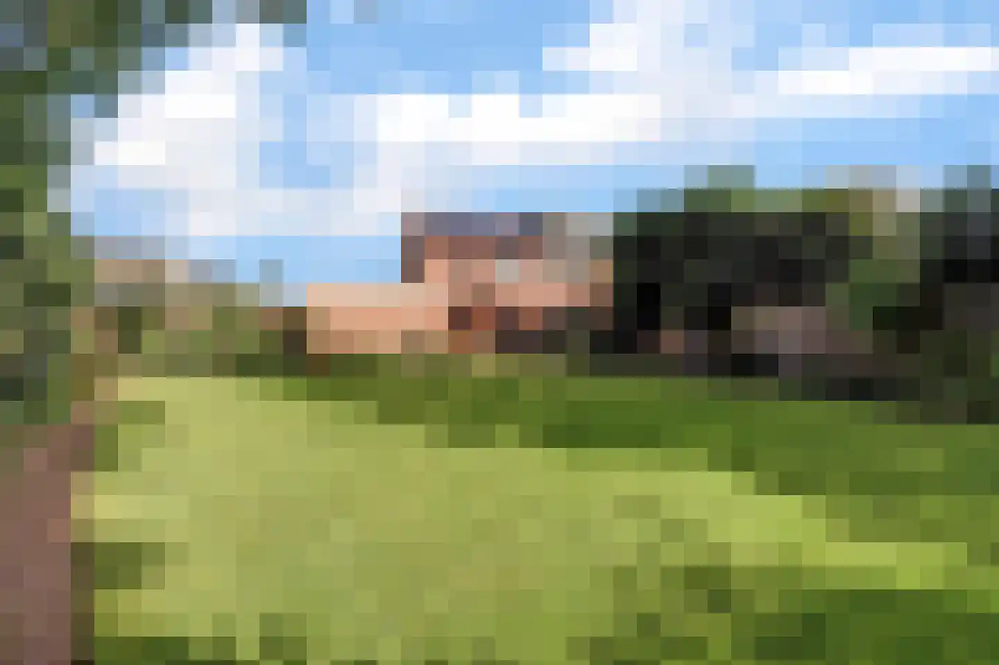 Karhulstraat 94 Ugchelen thumbnail 7