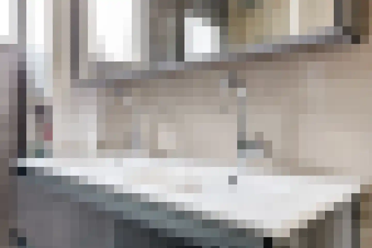 Karibastraat 41 Delft thumbnail 36
