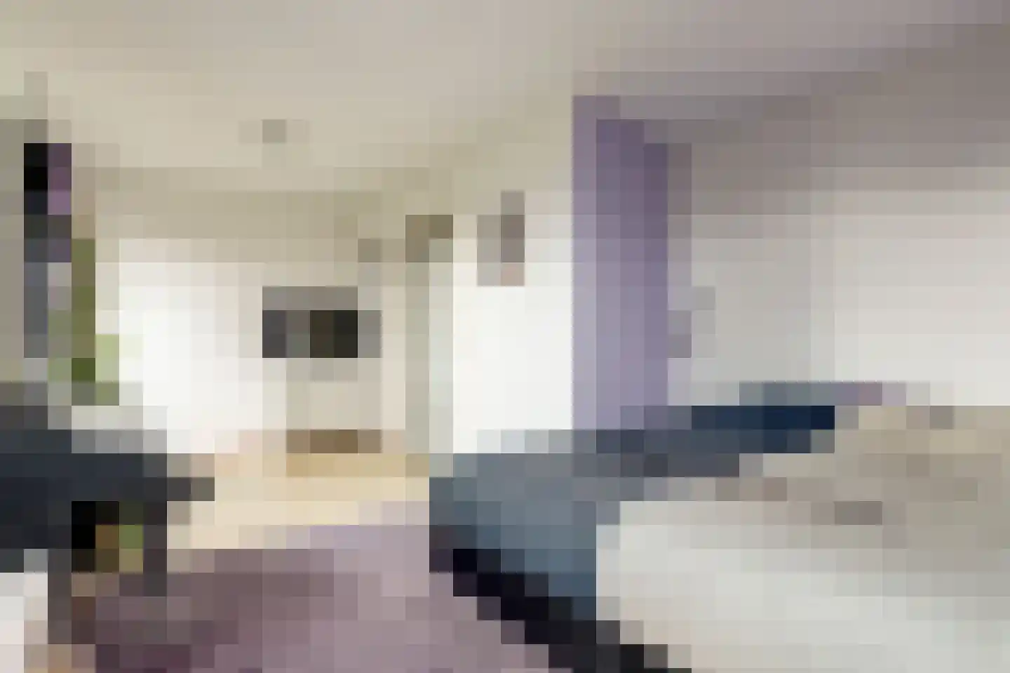 Karibastraat 41 Delft thumbnail 37