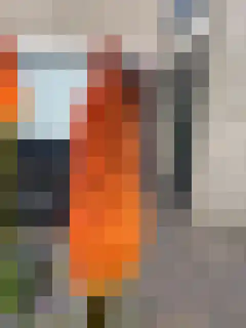 Karibastraat 45 Delft thumbnail 36