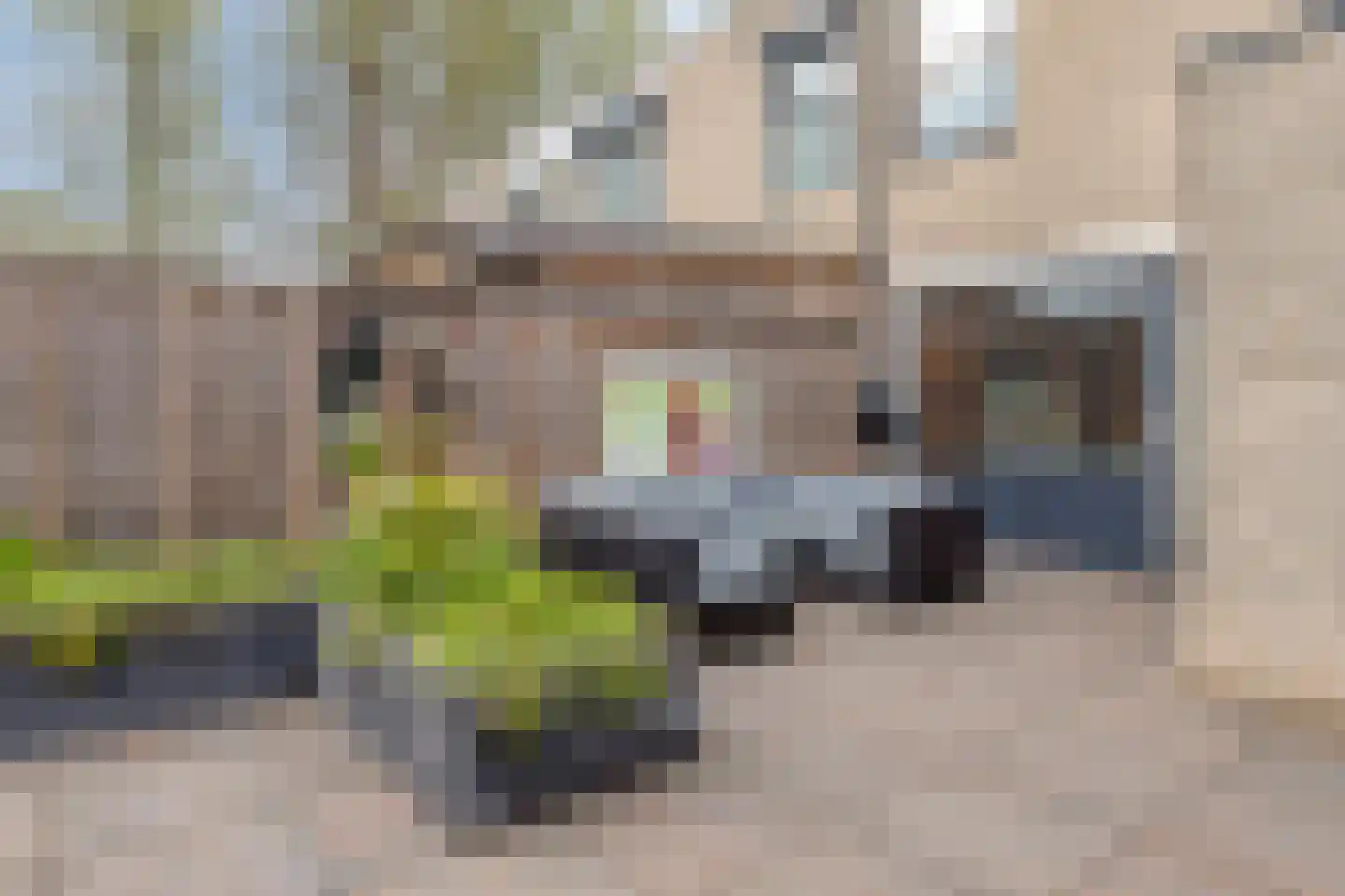 Karibastraat 45 Delft thumbnail 41