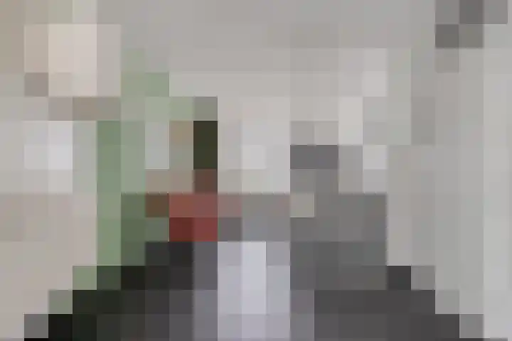 Kariboelaan 24 Helmond thumbnail 12