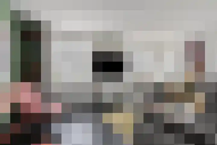Kariboelaan 24 Helmond thumbnail 13