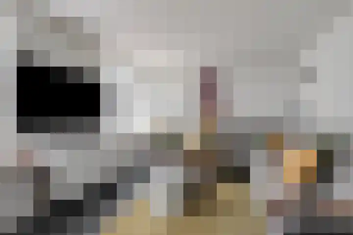 Kariboelaan 24 Helmond thumbnail 14