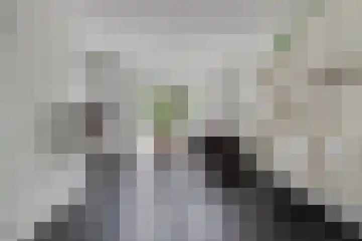 Kariboelaan 24 Helmond thumbnail 16
