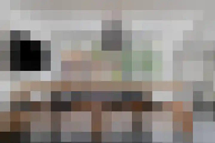 Kariboelaan 24 Helmond thumbnail 19