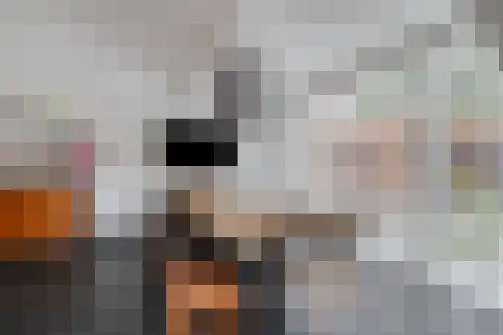 Kariboelaan 24 Helmond thumbnail 20