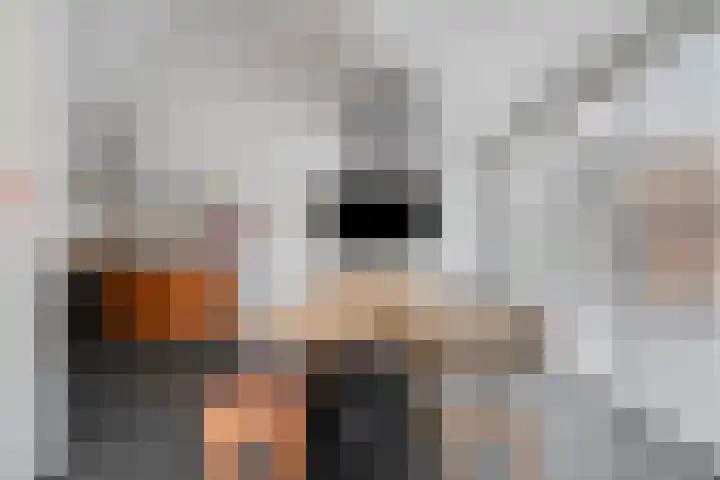 Kariboelaan 24 Helmond thumbnail 21