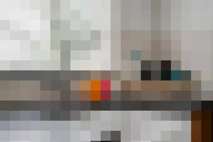 Kariboelaan 24 Helmond thumbnail 23