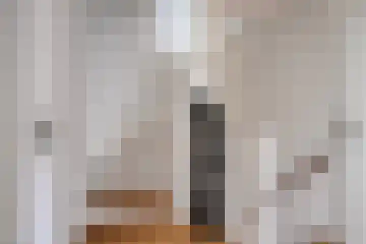 Kariboelaan 24 Helmond thumbnail 25
