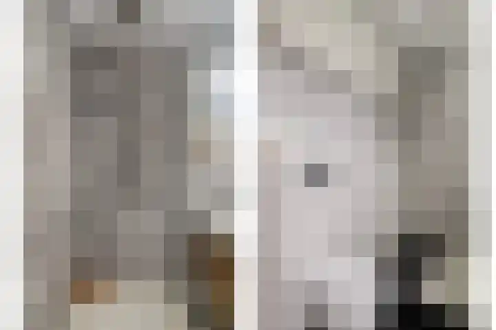 Kariboelaan 24 Helmond thumbnail 32