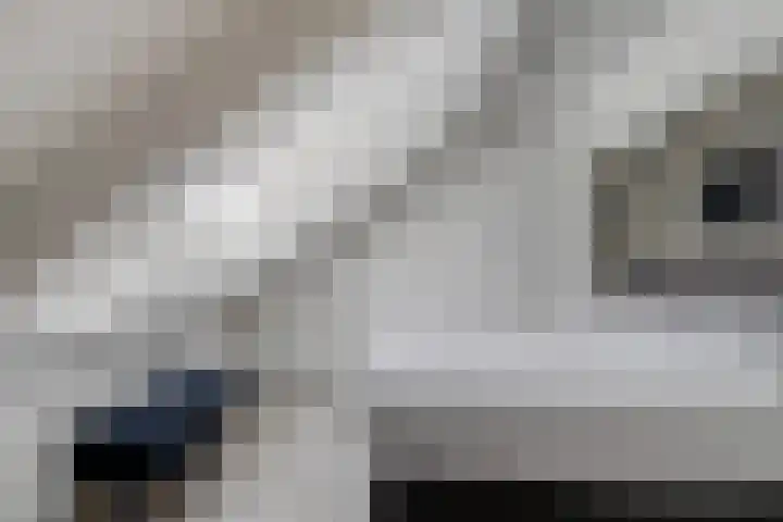 Kariboelaan 24 Helmond thumbnail 33