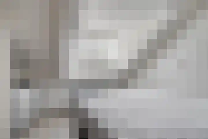 Kariboelaan 24 Helmond thumbnail 34