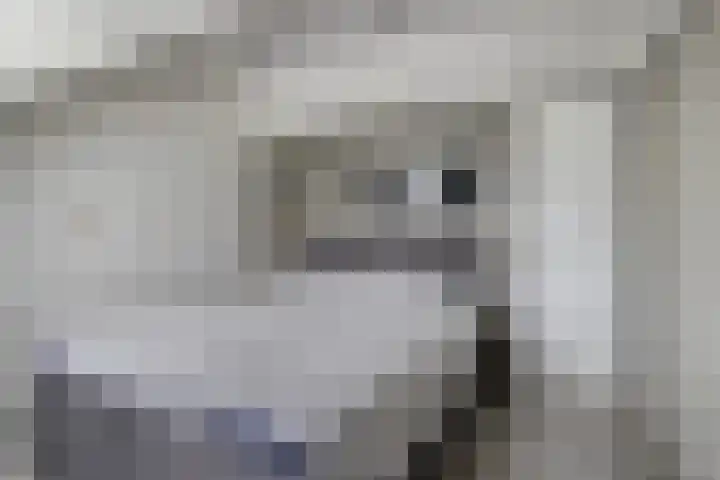Kariboelaan 24 Helmond thumbnail 35