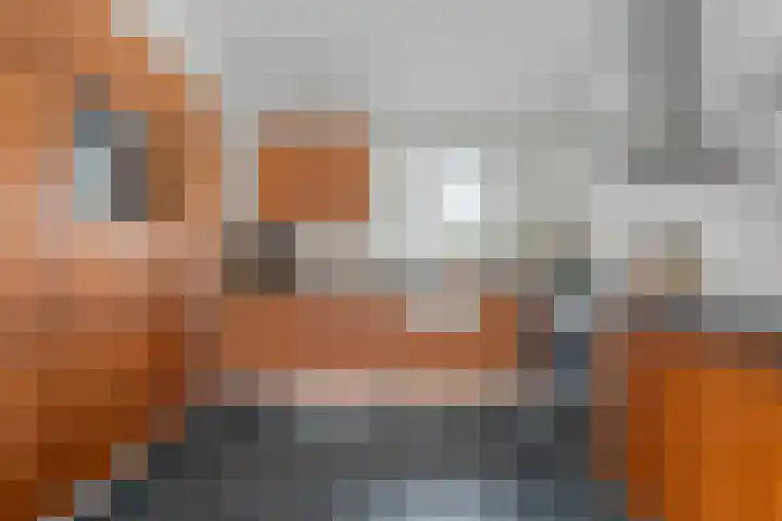 Kariboelaan 24 Helmond thumbnail 4