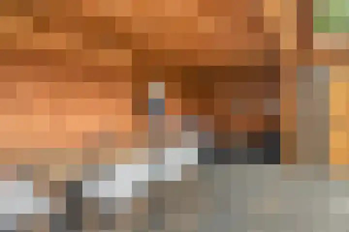 Kariboelaan 24 Helmond thumbnail 42