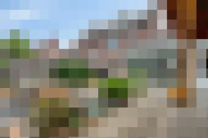 Kariboelaan 24 Helmond thumbnail 44