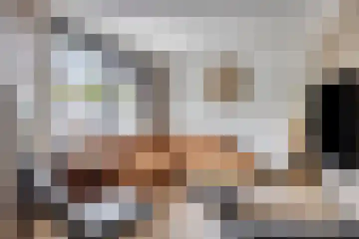 Kariboelaan 25 Helmond thumbnail 18