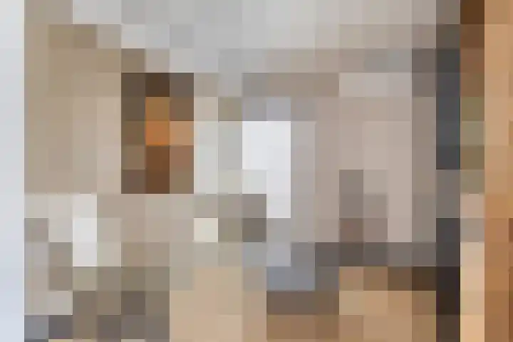 Kariboelaan 25 Helmond thumbnail 22