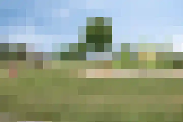Kariboelaan 25 Helmond thumbnail 57