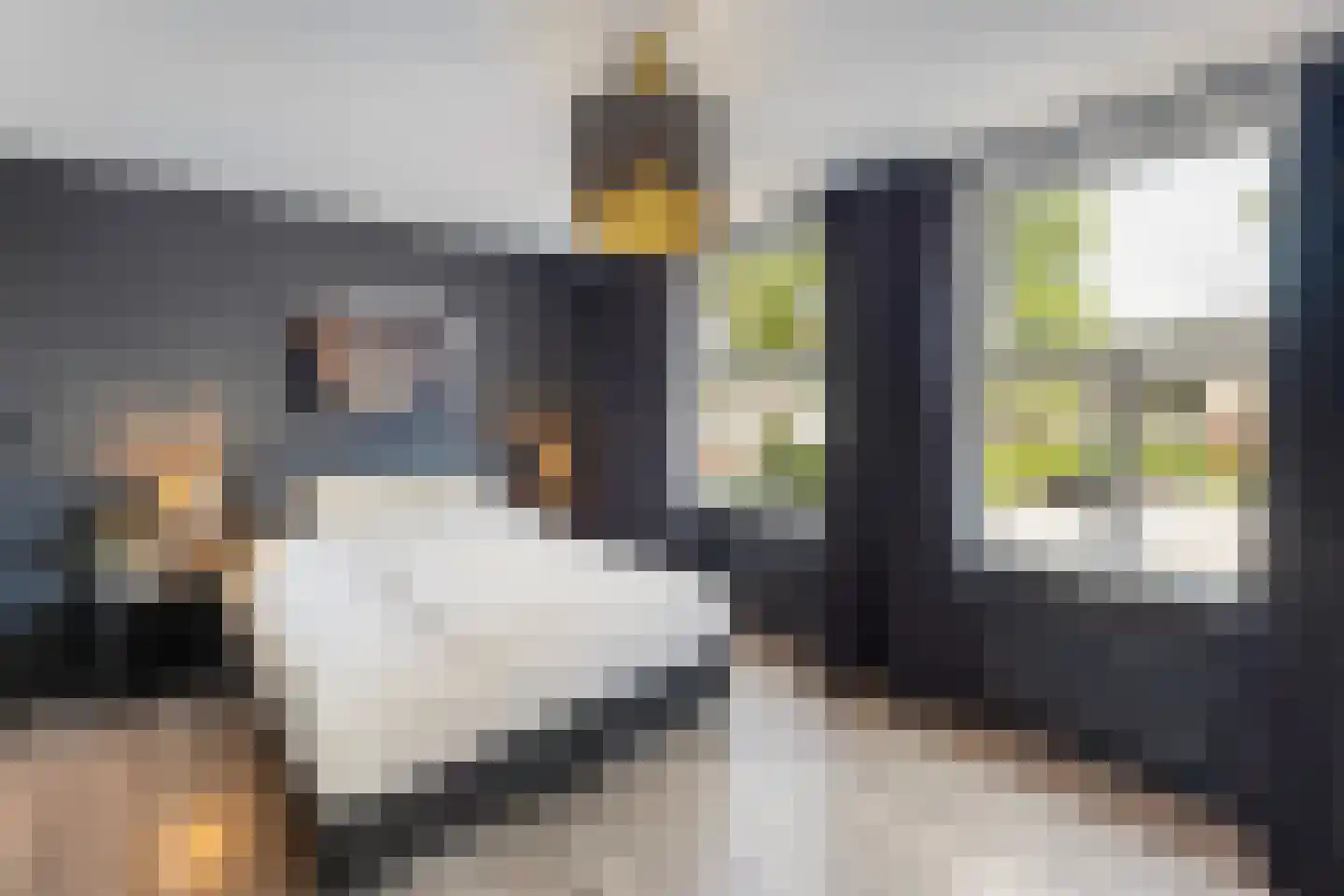Karimatastraat 2 Enschede thumbnail 18