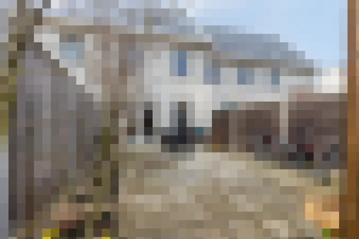 Karimunstraat 26 Rotterdam thumbnail 48