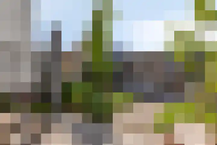Karimunstraat 30 Rotterdam thumbnail 20