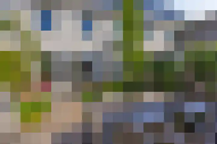 Karimunstraat 30 Rotterdam thumbnail 4
