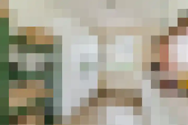Karimunstraat 36 Rotterdam thumbnail 6