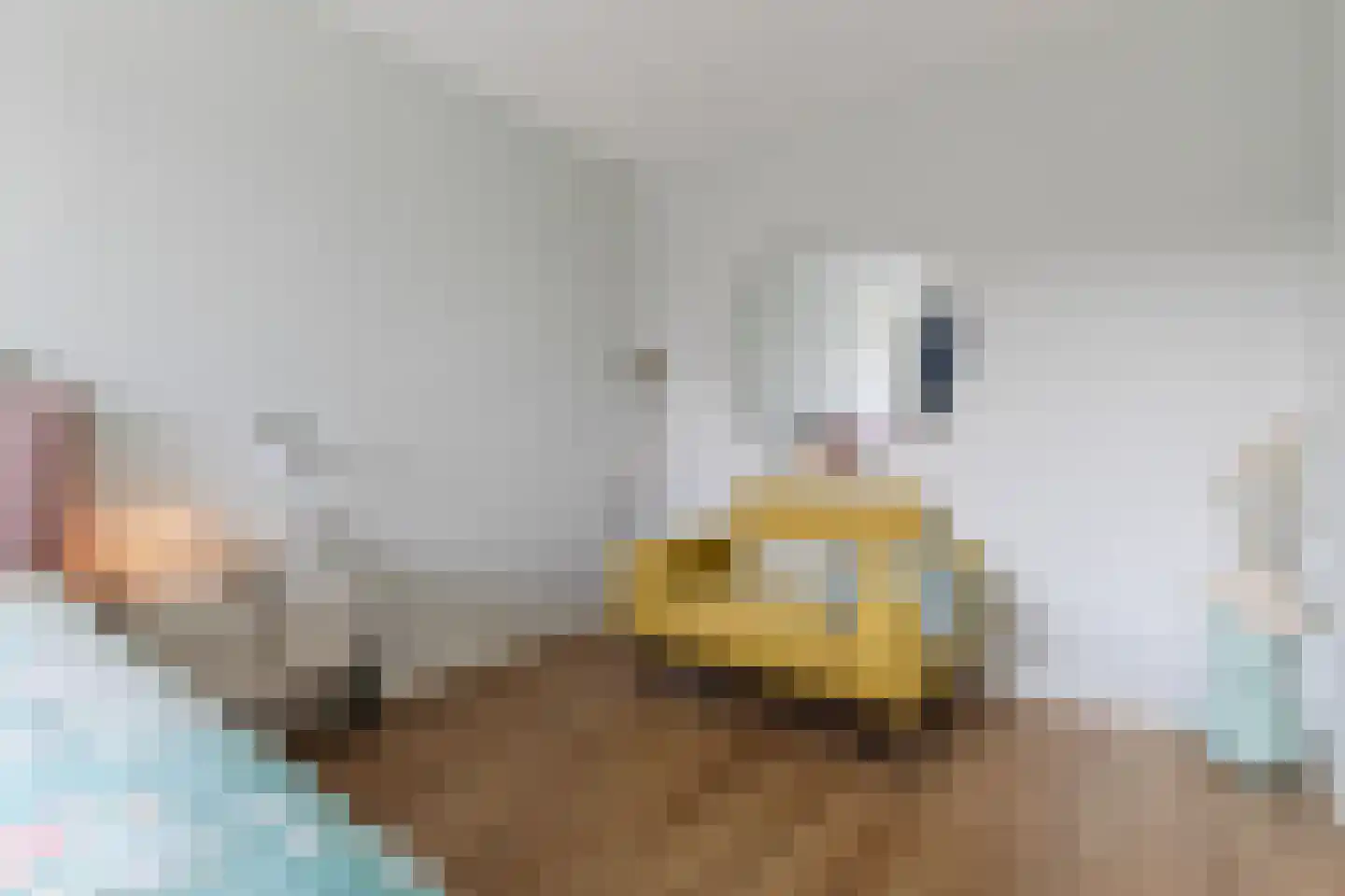 Karimunstraat 38 Rotterdam thumbnail 19