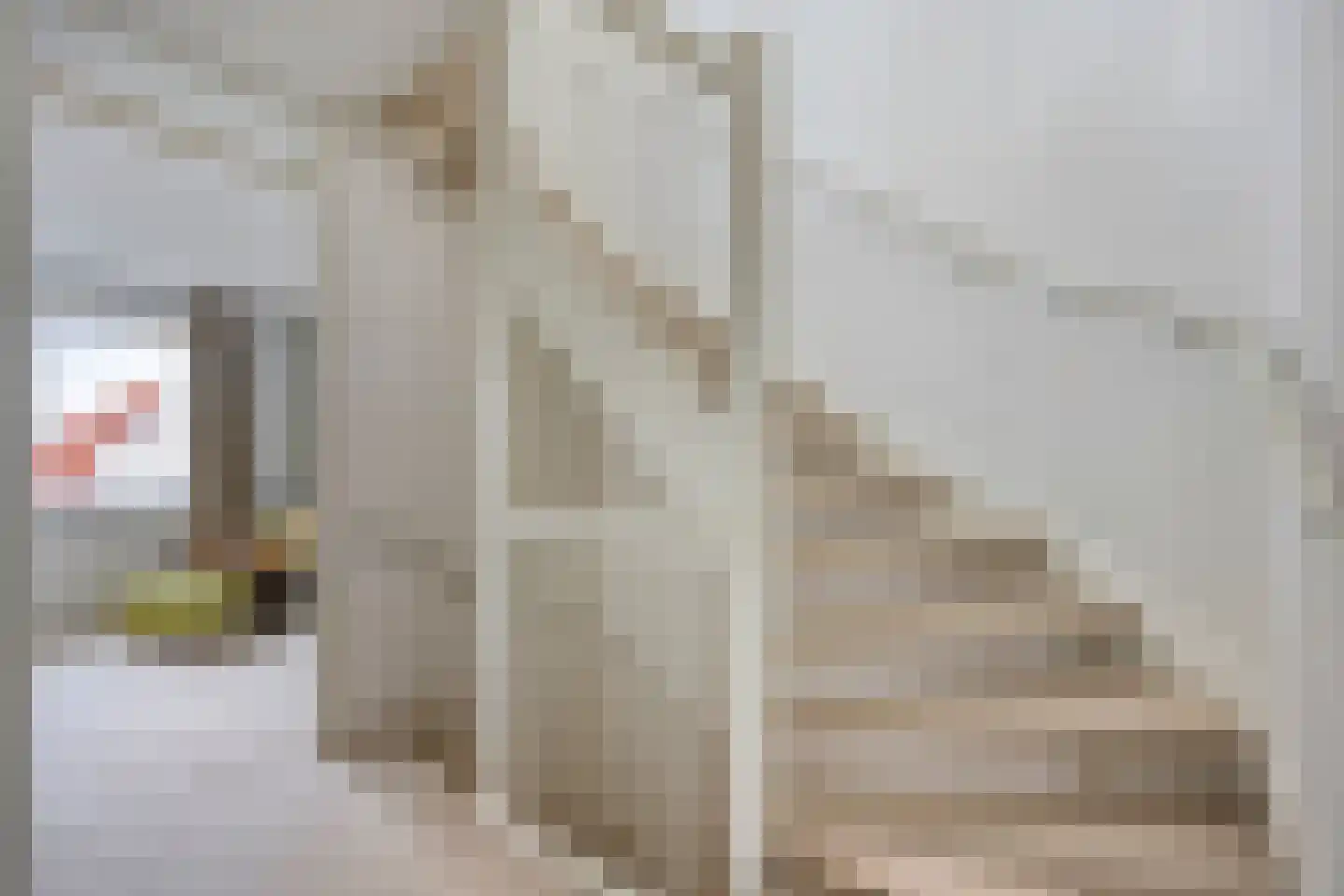 Karimunstraat 7 Rotterdam thumbnail 19